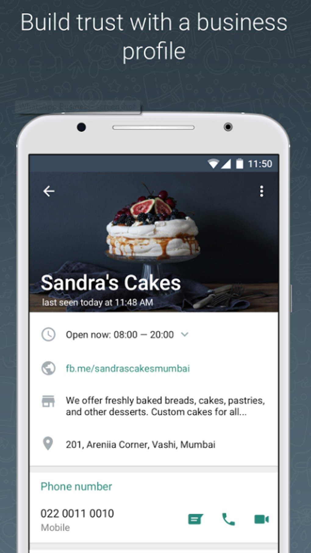 WHATSAPP BUSINESS visual data 2